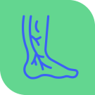 icon-varicose-veins